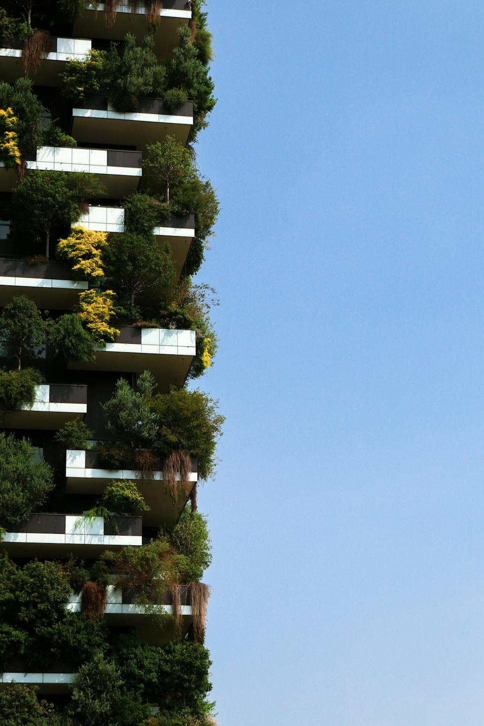 Sustainable Development